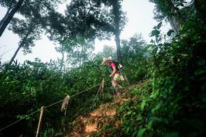 BIB: 
                            <button type="button" onclick="openModal(26203219)" class="btn btn-primary btn-sm float-right btn-popup" data-toggle="modal" data-target=".modal-high-quality">
                        <i class="fas fa-shopping-cart"></i> Add to Cart
                    </button>
                                            <button type="button" onclick="isThisMe(26203219, true)" class="btn btn-success btn-sm float-right btn-popup btn-isme hidden" data-toggle="tooltip" data-placement="bottom" title="นี่คือรูปของคุณใช่ไหม คลิกที่นี่เพื่อเอาเข้าอัลบั้ม">
                        <i class="fas fa-plus"></i> Add to album
                    </button>
                    <button type="button" onclick="isThisMe(26203219, false)" class="btn btn-warning btn-sm float-right btn-popup btn-isnotme hidden">
                        <i class="fas fa-ban"></i> Remove from album
                    </button>